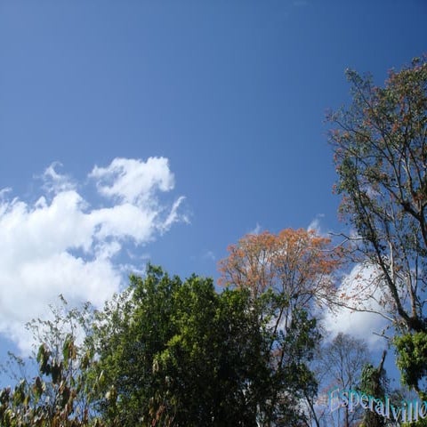 Alto riesgo perinatal