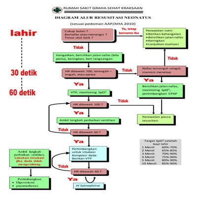 Alur resusitasi neonatus | DOCX