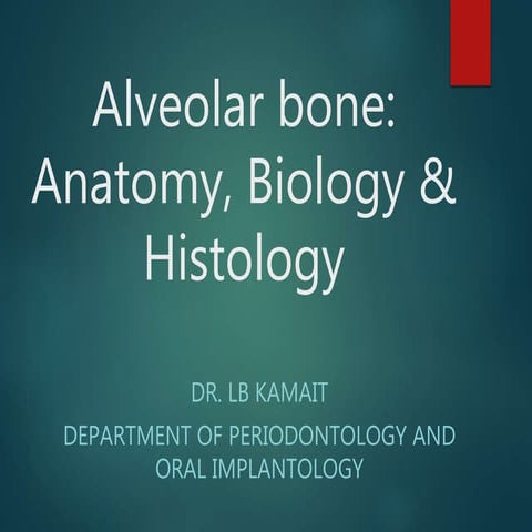 Alveolar bone
