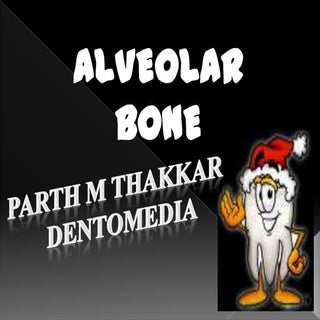 Alveolar bone 