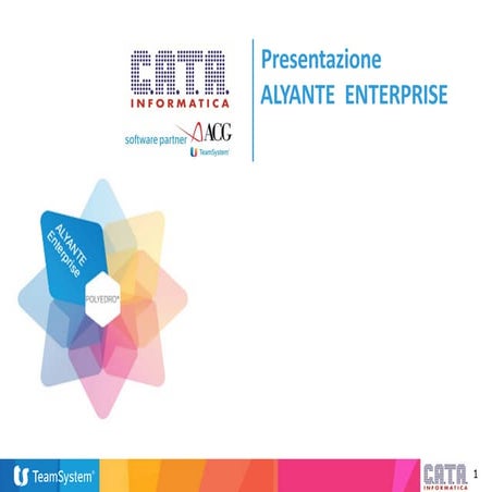 Alyante Enterprise C.A.T.A. Informatica