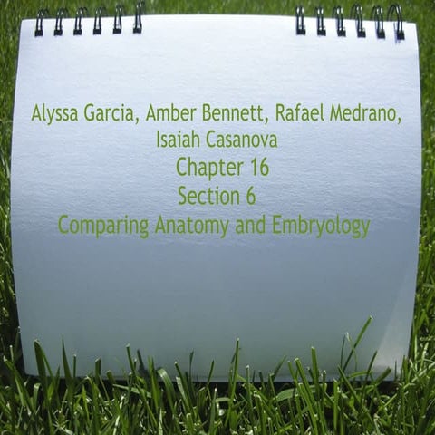 Alyssa garcia amber_bennett_raf.ppt