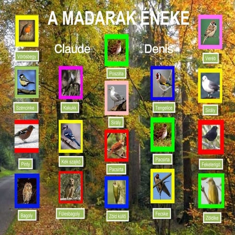 A Madarak éneke