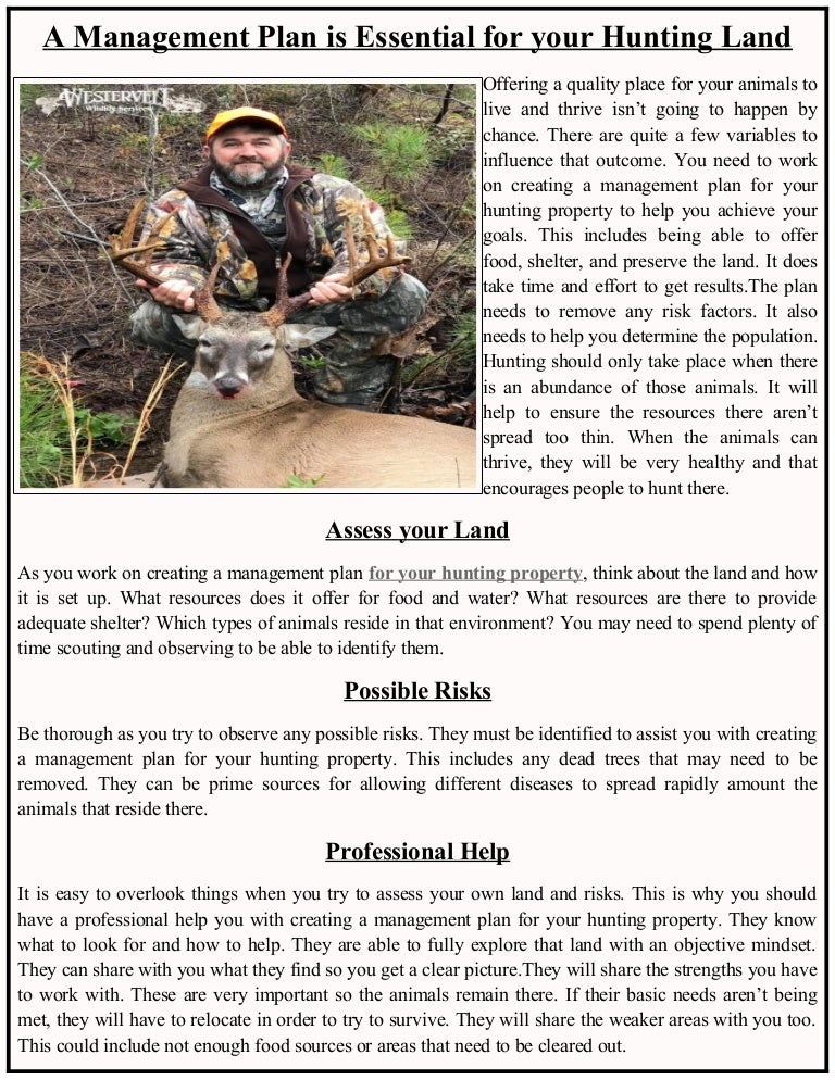 A management plan is essential for your hunting land