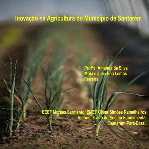 Inovação na Agricultura do Município de Stm