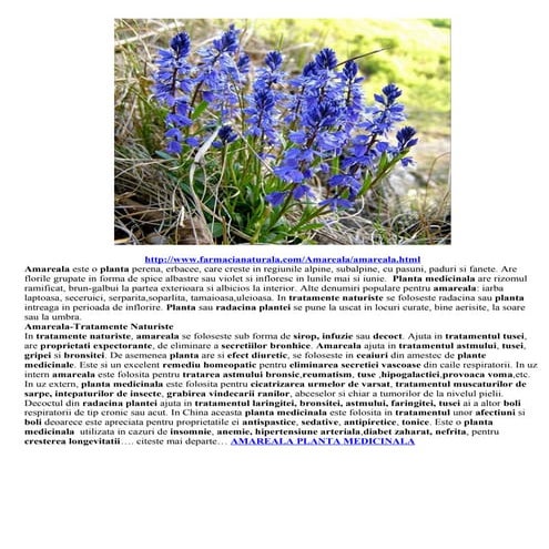 Amareala planta medicinala | DOC