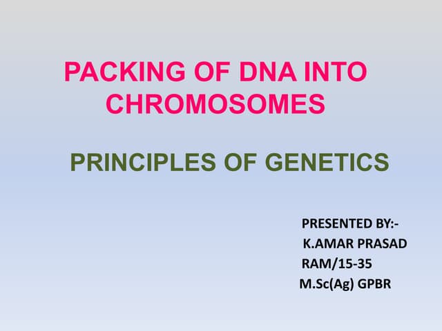 Amar genetics