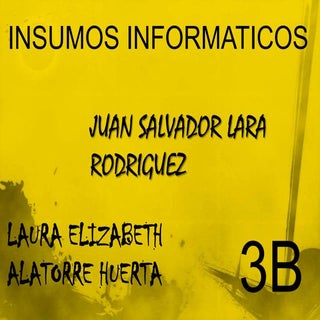 INSUMOS INFORMATICOS