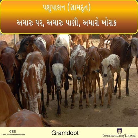 Amaru ghar, pani, khorak