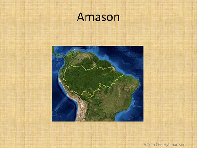 Amazon