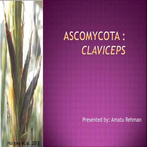Amatu Rehman Presentation on Claviceps.pptx