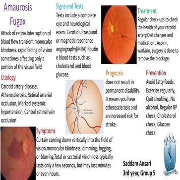 Amaurosis fugax | PPT