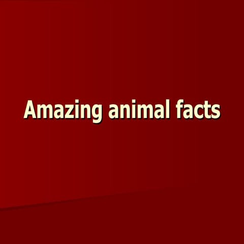 Amazing Animal Facts