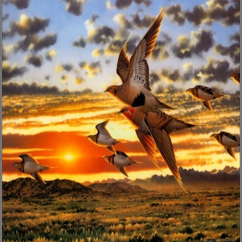 Amazing beautiful-wildlife-arts