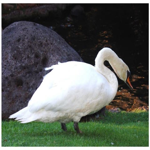 Amazing Nature And Beautiful Wildlife