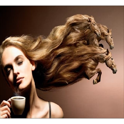 Amazing Photos - Fotos Espectaculares