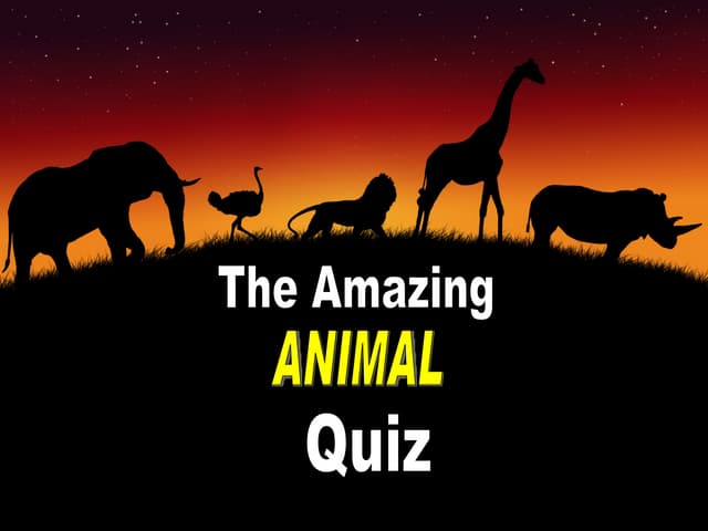 Amazing Animal Quiz