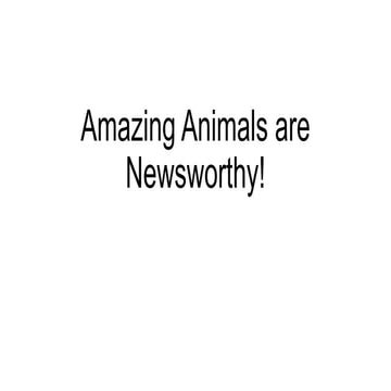 Amazing animals are newsworthy!