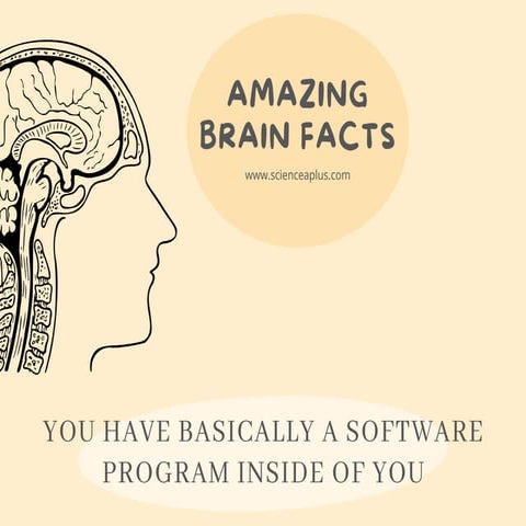 amazing brain facts.pdf