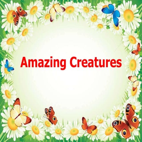 Amazing creatures Презентация урока английского языка