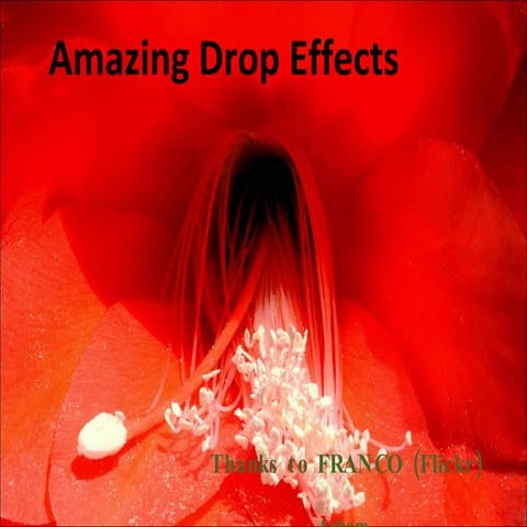 Amazing Drop Effects