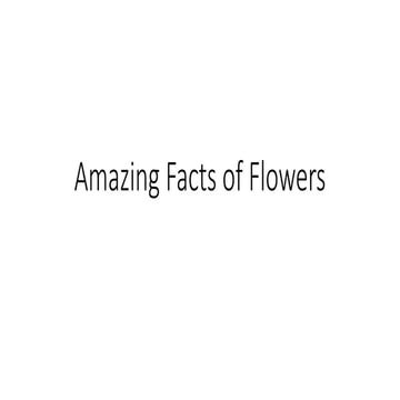AMazing Facts of Flowers this slide shows .pptx