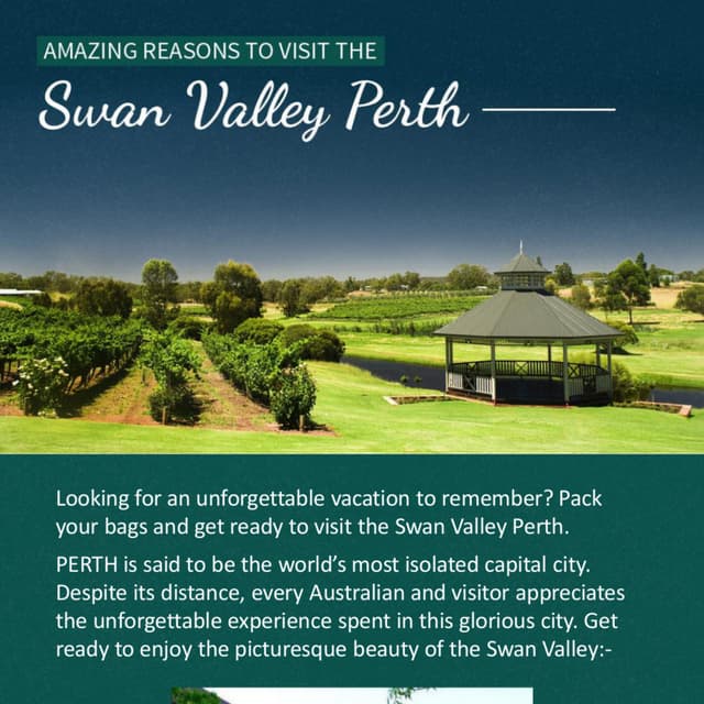 Amazing Reasons to Visit the Swan Valley Perth