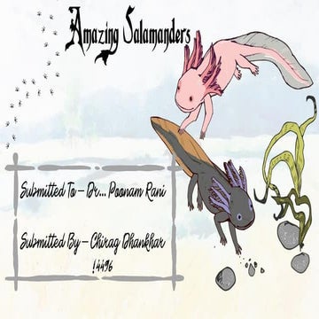 Amazing salamanders by chirag dhankhar