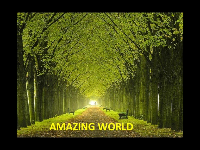 Amazing world