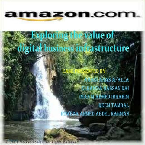 Exploring the value of digital business infrastructure