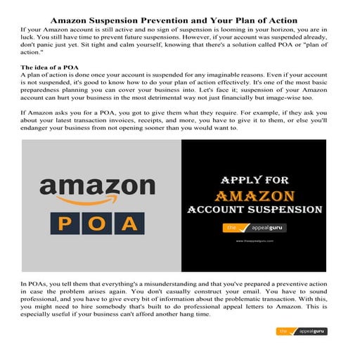 Amazon Appeal Plan of Action 
