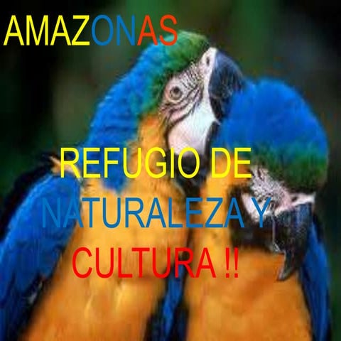 Amazonas