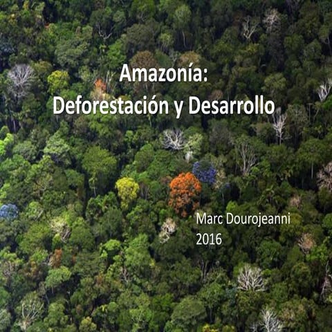 Amazonía, deforestación y desarrollo