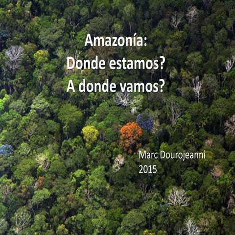 Amazonia, donde estamos a donde vamos?