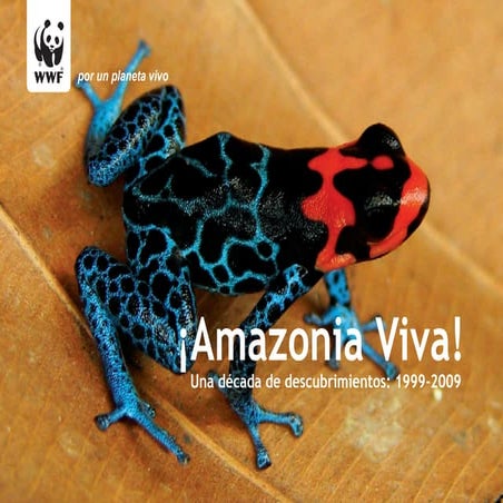 Amazonalive web2