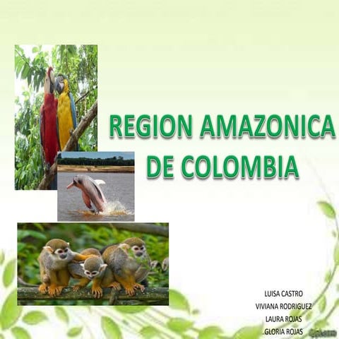 Presentación1 region amazonica | PPTX