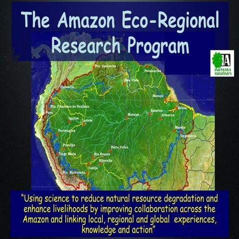 What is SINCHI Amazonian Institute of Scientific Research? | PDF