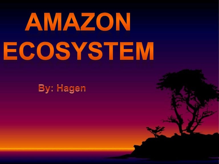 Amazon ecosystem