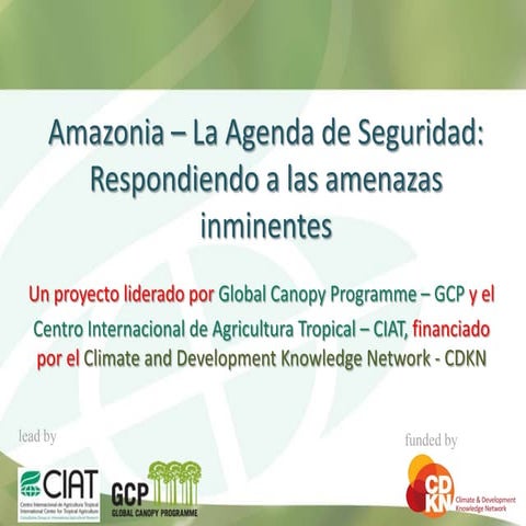 Amazonia   la agenda de seguridad