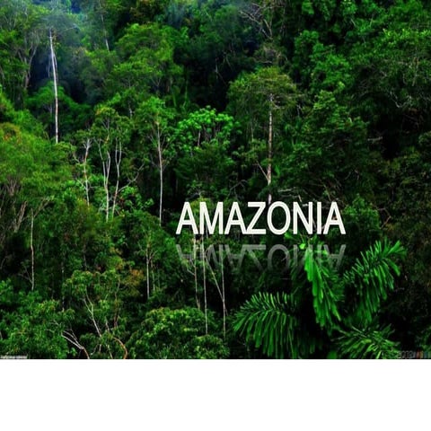 Amazonian Vernacular Architecture