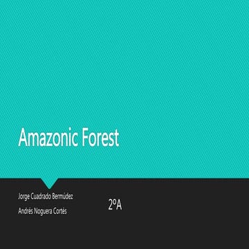 Amazonic forest