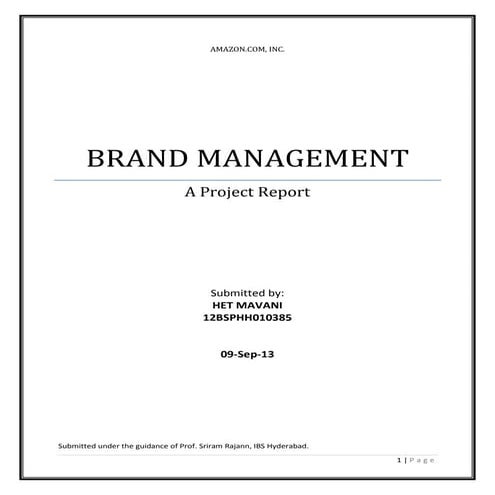 Amazon - Brand Management