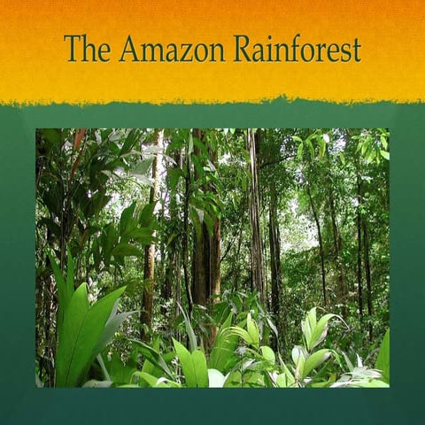 The Amazon Rainforest | PPT