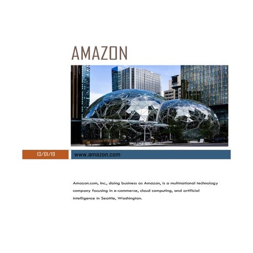 REPORT ON AMAZON