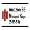 Amazon S3 Server-Side Encryption with S3-Managed Keys – SSE-S3.pptx