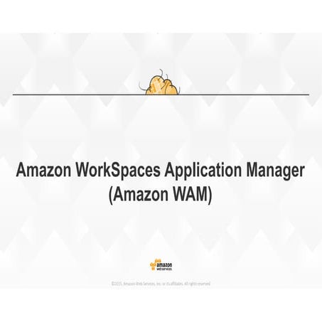 Amazon Work Spaces Application Manager