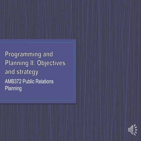 Amb372.4.objectivesandstrategy.narr1.final