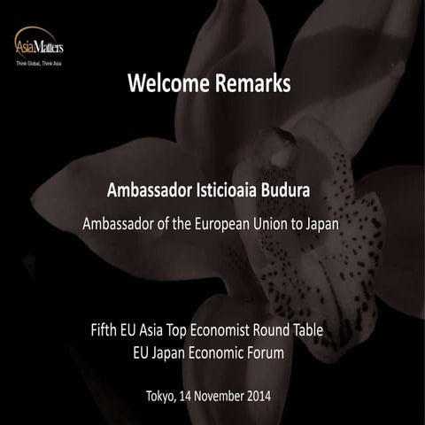 Ambassador Isticioaia Budura, Ambassador of the European Union to Japan