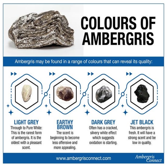How Much Does Ambergris Cost?