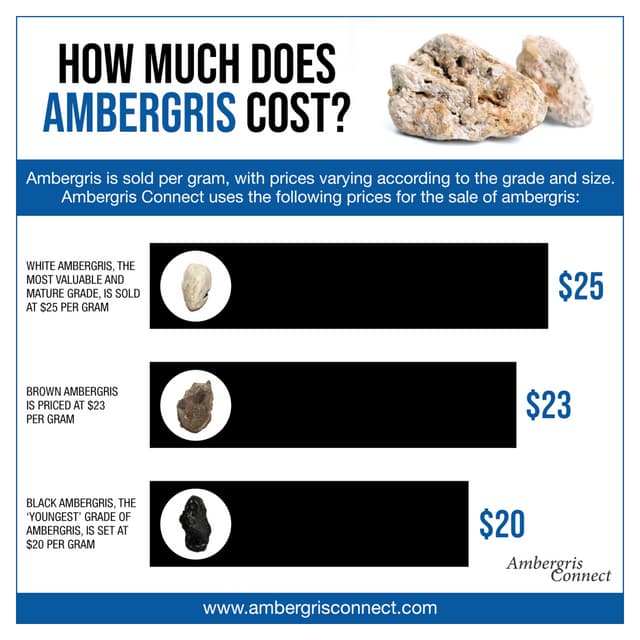 How Much Does Ambergris Cost? PDF